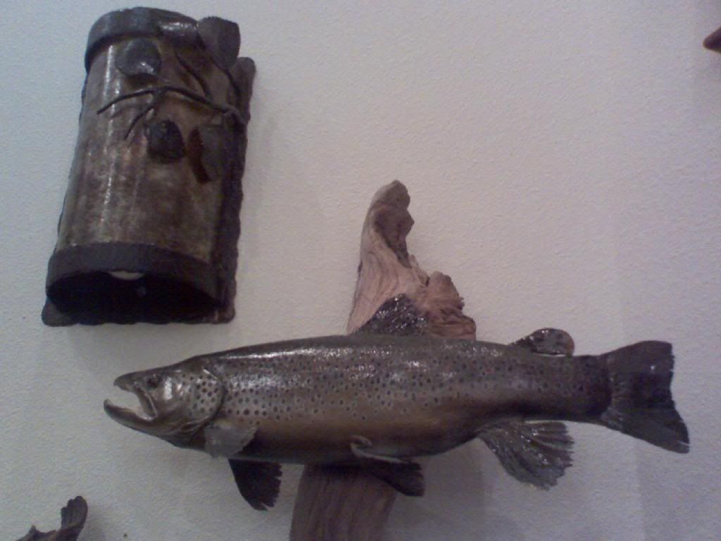 Official Wyoming Picture Thread (Cheyenne, Kaycee rent, bars, office